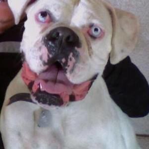 Meet your Posher, Kelley